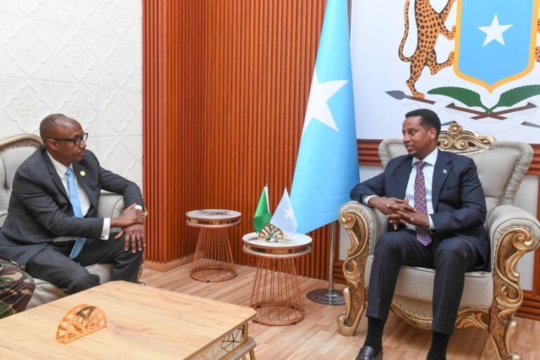 Somali Deputy FM Welcomes Newly Appointed AU Official in Mogadishu