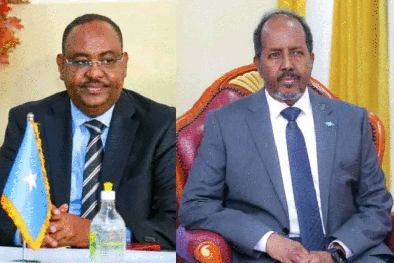 Puntland oo DFS Ugo baaqday in aay kusoo biiraan Baaritaanka aay Haayso puntland