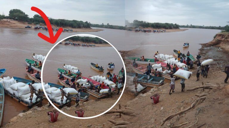 {DAAWO MUUQAALKA} Maxay Muhiim ugu yihiin Dooman Nolosha Dadka Reer Baardheere.?