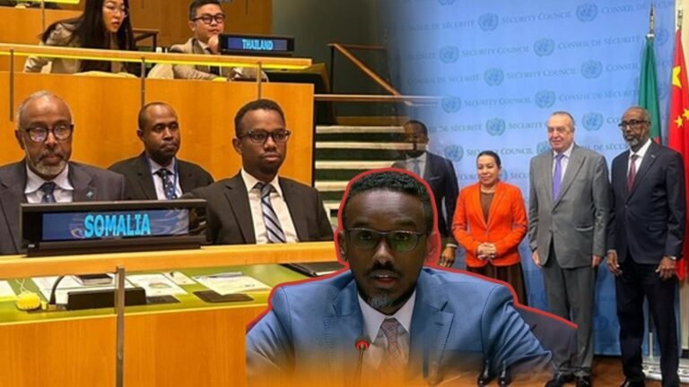 {DAAWO MUUQAALKA} Soomaaliya iyo wadamo kale oo Cambaaeeyey weerarada Israa’iil ay ka geeysanyso Qassa.