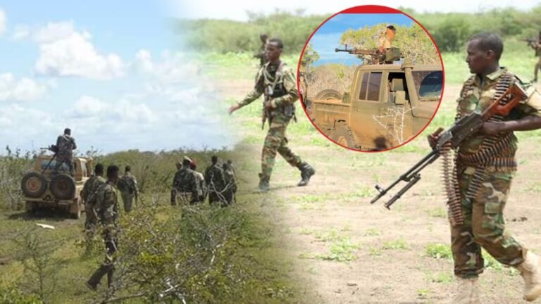 {DAAWO MUUQAALKA}  Hoolgal Qorsheesan oo laga Fuliyay Sh/Hoose