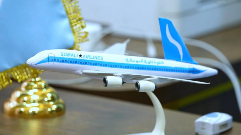 {DAAWO MUUQAALKA}Soomaaliya oo soo iibsatay laba diyaaradood