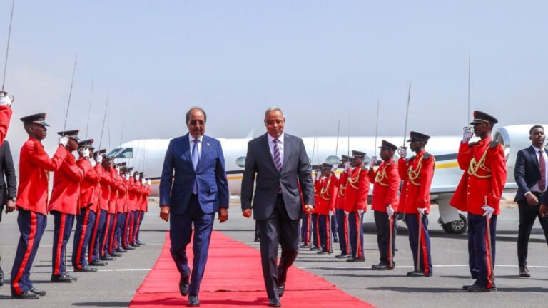 {DAAWO MUUQAALKA} Madaxweynaha Soomaaliya oo Gaaray Jabuuti.