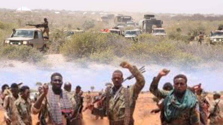 {DAAWO MUUQAALKA} ”Moqokori Waan Difaaceeynaa Waana Dagaalameeynaa”