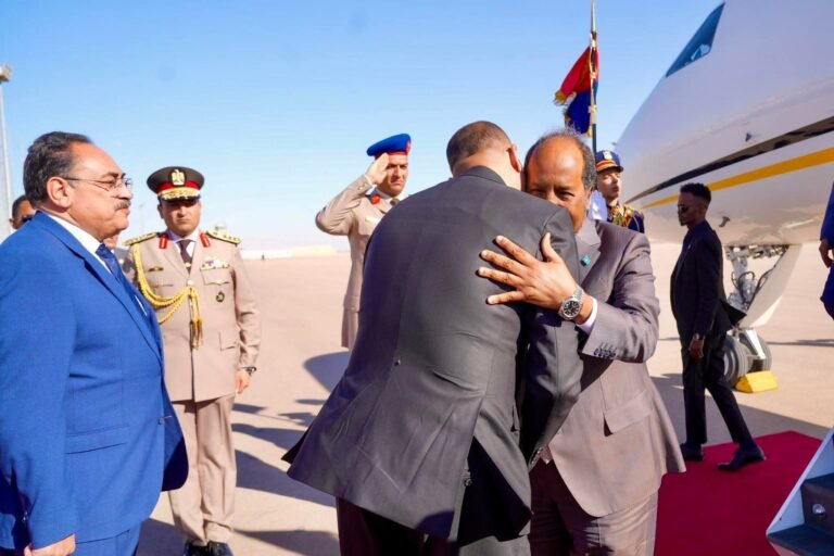 Somalia balances Egypt pact with Red Sea neutrality