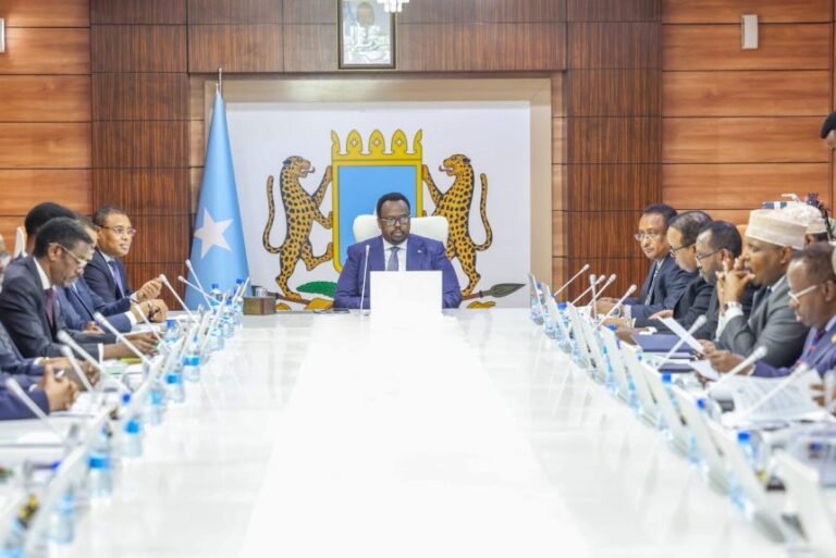 Somali Cabinet Approves Visa Exemption Deal with Indonesia, Addresses Traffic Congestion and Security.