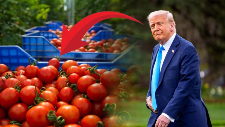 {DAAWO MUUQAALKA} Mareykanka oo Canshuur kusoo rogayo Yaanyada Dalkiisa la geeyo.