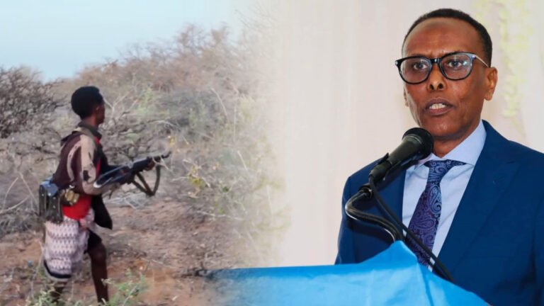 {DAAWO MUUQAALKA}  xildhibaan sanyare oo ku baaqay in oo Gurmado Dadka Reer Hiiraan.