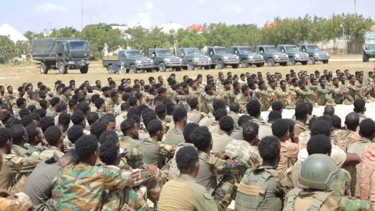 {DAAWO MUQAALKA} Saraakiisha DFS Iyo Kuwa AUSSOM oo ka Hadlay dagaalka AS ee sh/hoose