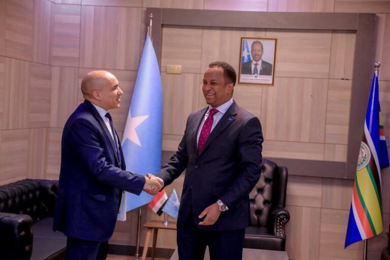 Somali Foreign Minister Bids Farewell to Egyptian Ambassador.