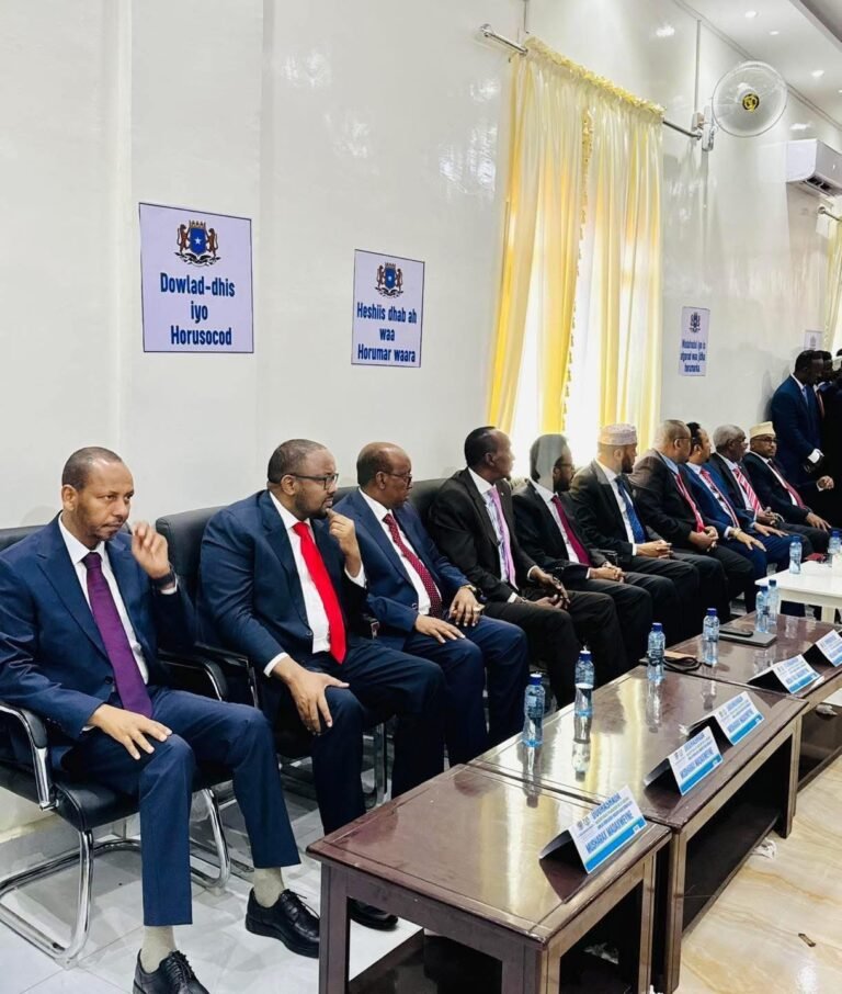 Musharaxiinta Mucaaradka Waqooyi Bari oo Dowladda Federaalka ku eedeeyay faragelin iyo taageerada musharax gaar ah?