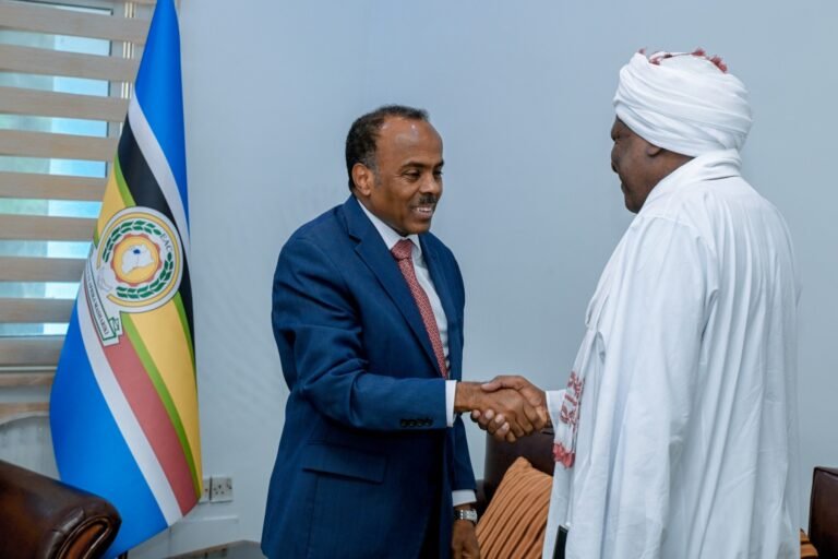 The Somali Minister of State for Foreign Affairs seeks bilateral cooperation with the Sudanese ambassador.