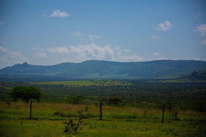 Britain to pay nearly $4 million in compensation after troops sparked huge forest fire while training in Kenya
