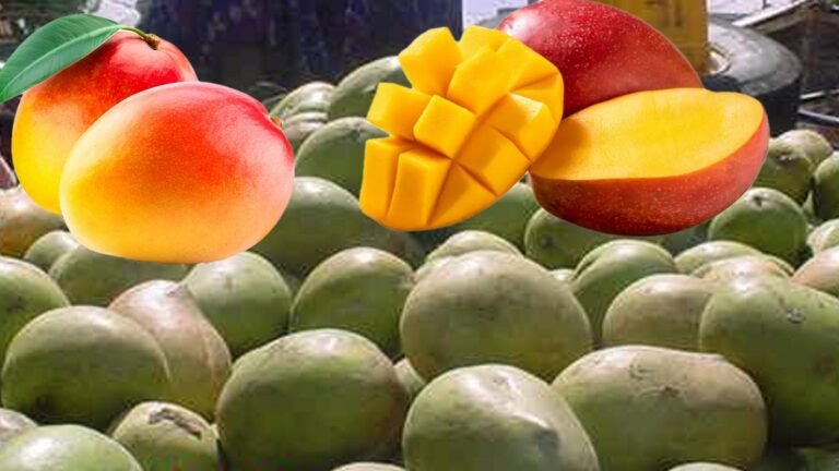 Maxaa ka jira in cunista cambaha uu u wanaagsantahay dadka Cudurka macaanka qaba Ama Sonkorta.?