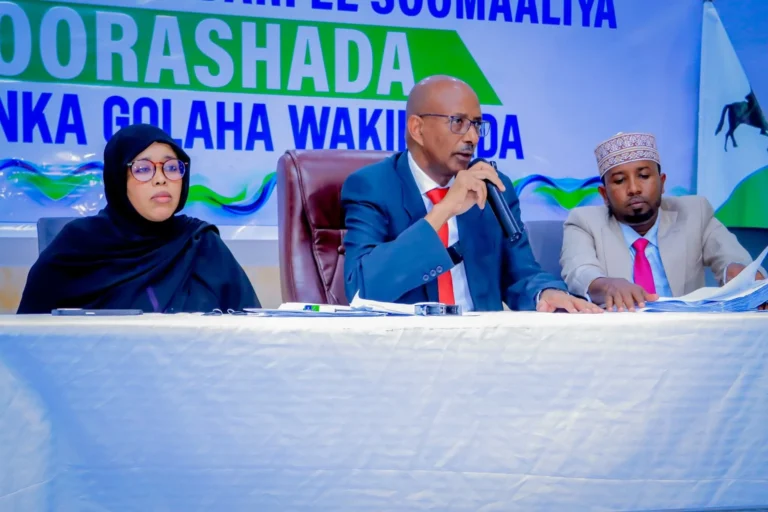 Doorashada madaxweynaha iyo madaxweyne ku xigeenka maamulka Waqooyi Bari Soomaaliya oo ka bilaabanaysa Laascaanood?