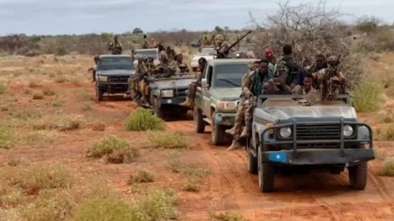 Somali army kills 10 AS militants in Bakool region operation