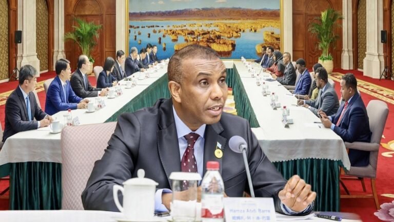 RW Xamsa oo kulan la yeeshay Ku-xigeenka Guddoomiyaha Guddiga Joogtada ah ee Golaha Shacabka Qaranka Shiinaha.