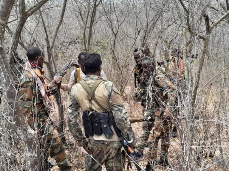 Somali army unit defuses roadside bomb in Lower Shabelle region