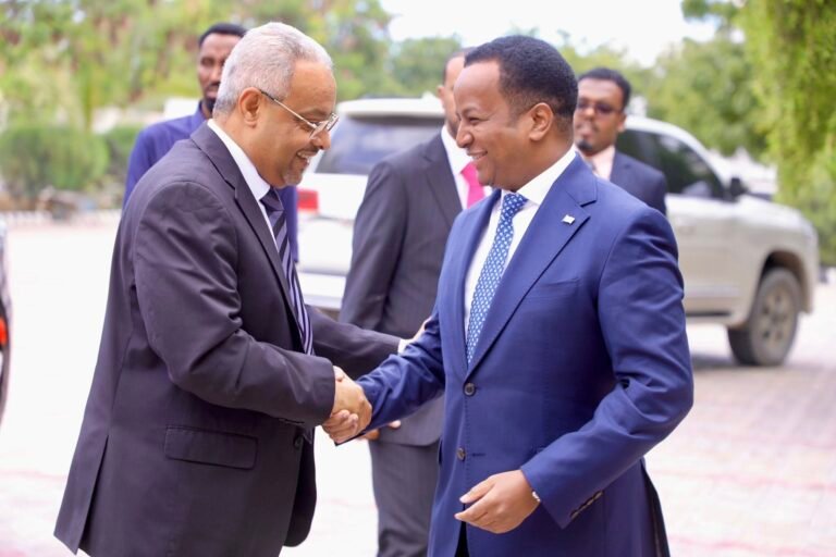 Somalia and Djibouti sign MoU on political consultations in Mogadishu