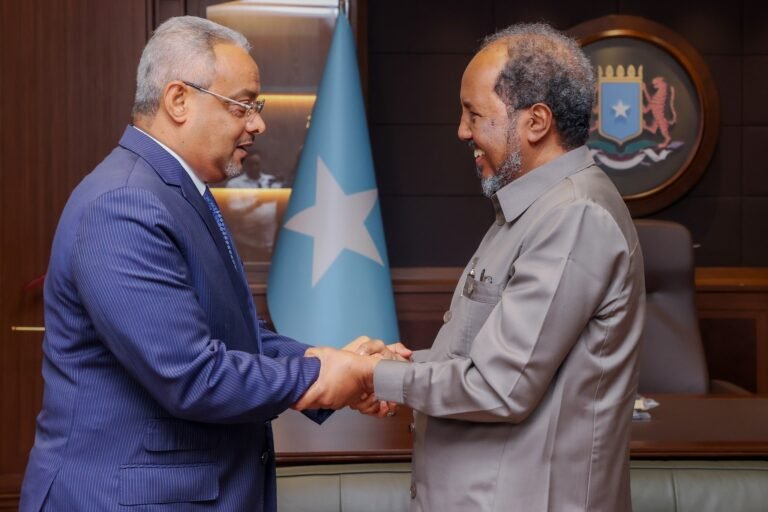 Somali President Receives Djibouti Foreign Minister on Courtesy Visit