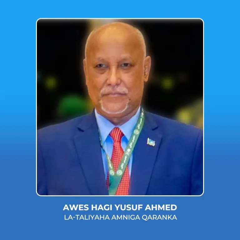 Madaxweynaha Soomaaliya oo magacaabay Lataliyaha Amniga Qaranka.