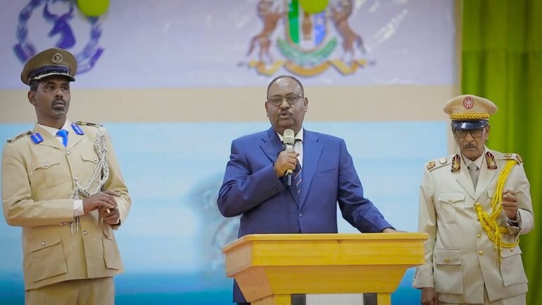 {DAAWO MUUQAALKA} Madaxweyne Dani oo Si Adag ugu Hadlay Xaalada Soomaaliya.