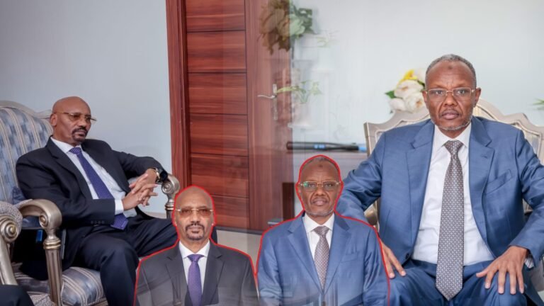 {DAAWO MUQAALKA}  Maxey ka wada hadleen Madaxweyne Laftagareen iyo Safiirka Itoobiya ee Soomaaliya ?