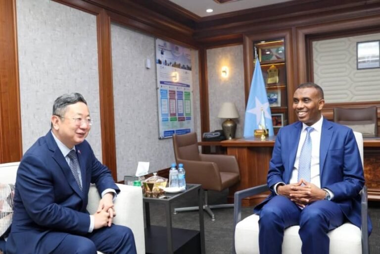 Prime Minister Hamza Receives Chinese Ambassador to Somalia.