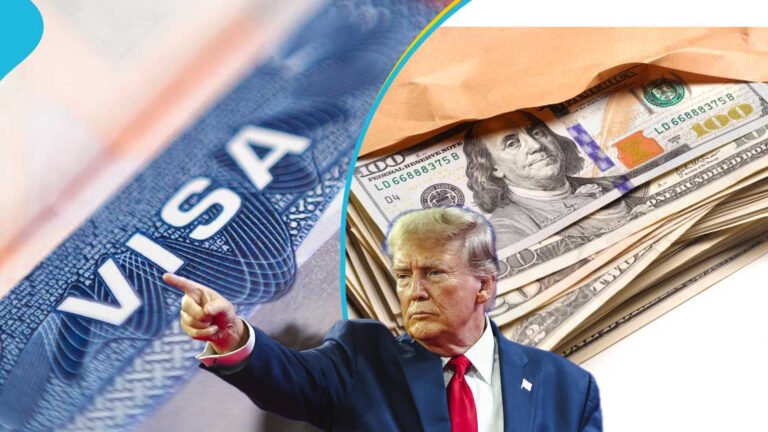 {DAAWO MUQAALKA} Dadka Dalbanaya Dal ku galka Mareeykanka oo Bixinayo lacago Badan.