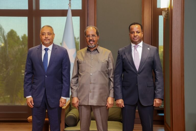 {DAAWO SAWIRADA} Maxeey ka Wada hadlen Madaxweyne Xasan iyo Wasiirka Arimaha Dibadda Jabuuti.