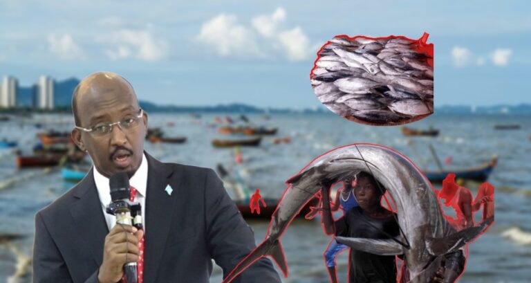 {DAAWO MUQAALKA} Wasiirka Kalluumeysiga oo soo xiray shirweynaha Kalluumeysiga Soomaaliya.