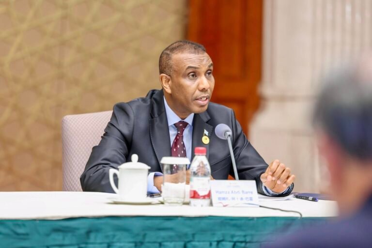 Raysal Wasaaraha Somaliya  oo sheegay in DFS ka ay diyaar  utahay gogosha wada hadal ee ay fidisay.