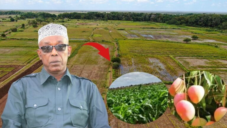 {DAAWO MUUQAALKA} Xildhibaan Aweys oo ka hadlay dhulbeered la isku haysta oo ku yaal duleedka Afgooye