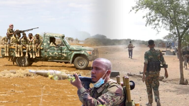 {DAAWO MUQAALKA}  ciidamada Dowladda oo Howlgalo ka wado Shabeelada Hoose.