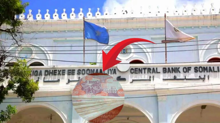 {DAAWO MUUQAALKA} Dowladda Soomaaliya oo soo saareeyso lacag shilin Soomaali ah.