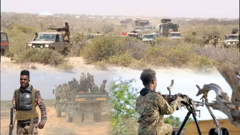 {DAAWO MUUQAALKA} Dowladda Soomaaliya oo Billaabeeyso Howlgalo ka dhan ah AS