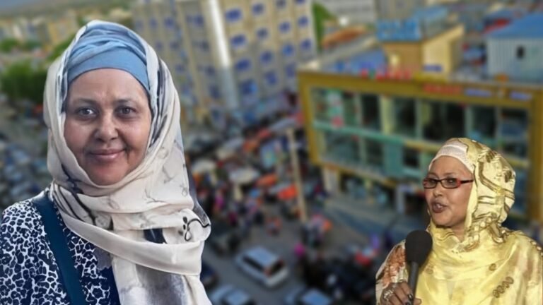 {DAAWO MUQAALKA}  Fanaanad Caan Ah oo Ku Geeriyootay Magaalada Hargeysa.