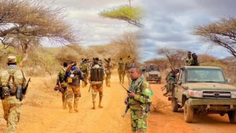 {DAAWO MUUQAALKA}  Howlgal lagu Soo badbaadiyey 40 qof oo Shacab oo laga Fuliyey Gobolka Bakool.