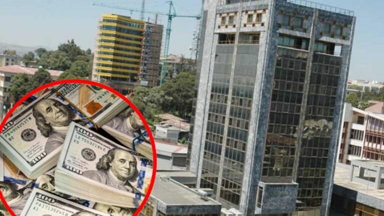 {DAAWO MUUQAALKA} Bankiga Dalka itoobiya oo Baarayo Afar shirkadood oo Soomaali ay lee dahay.