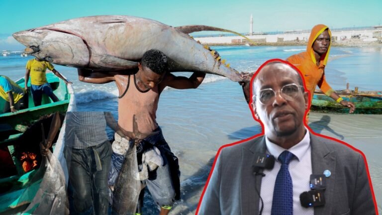 {DAAWO MUQAALKA} Shir Beesha Caalamka Lagu Tusayo qeeyraadka Soomaaliya oo Muqdisho ka Furmay.