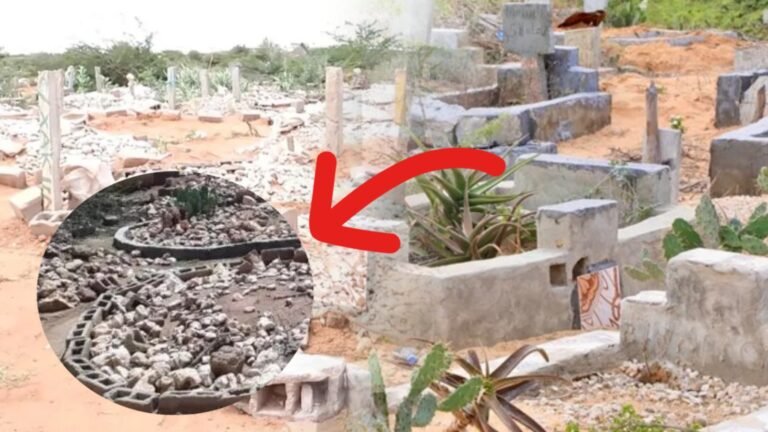 {DAAWO MUUQAALKA} Maamulka Maagalada jigjiga oo soo saaray Amar la Xiriira Marka la aasayo Meeydka.