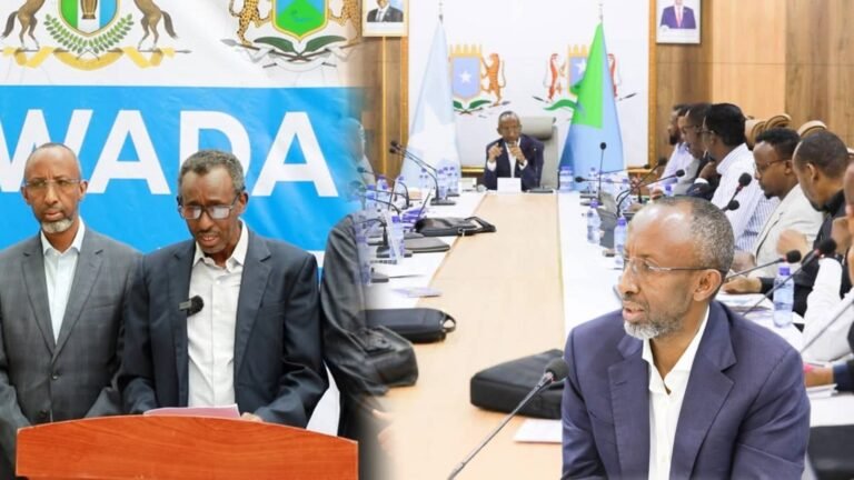 {DAAWO MUQAALKA}  Shirkii waxbarashada oo lagu soo gaba gabeeyay Jowhar