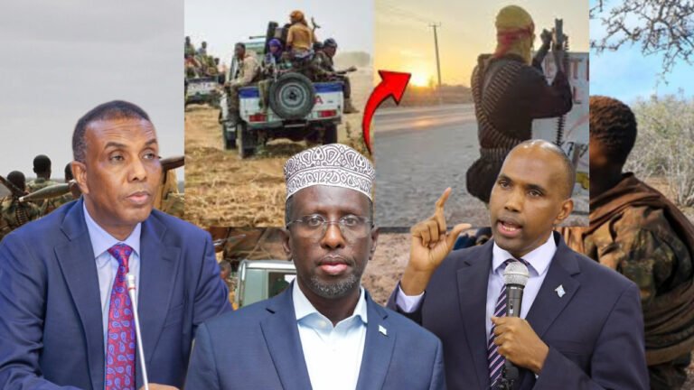 Ra’iisul wasaaraha Soomaaliya oo ku eedeeyay Mucaaradka inay isku dayeen afgambi dhicisoobay?