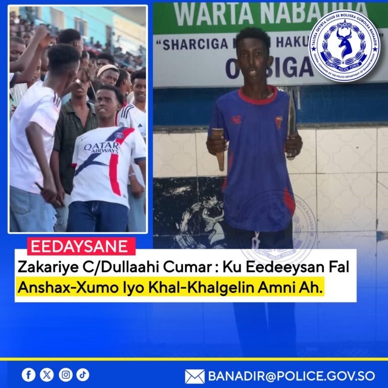 Booliska Soomaaliyeed oo Xiray toddobo dhalinyaro ah oo Naftooda Halis giliyay.