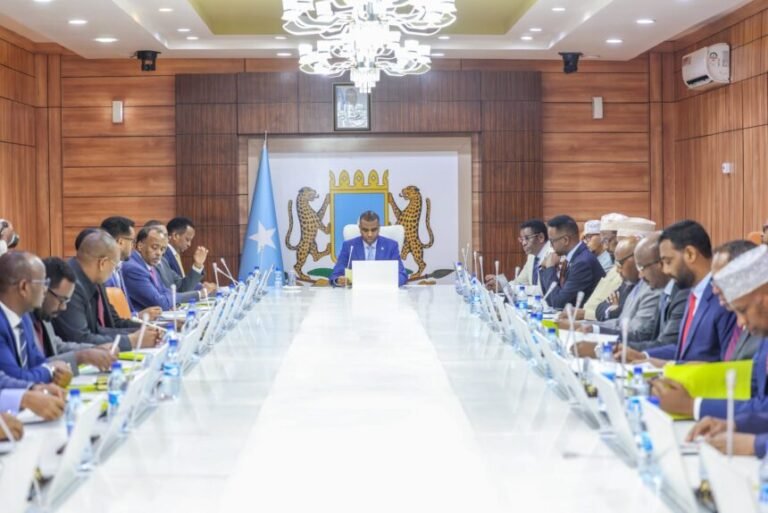 Council of Ministers Condemns Israeli Aggression, Approves New Law on Meat Inspection