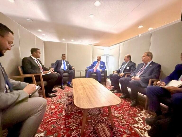 Somali FM Meets Yemeni VP in New York at 80th UNGA