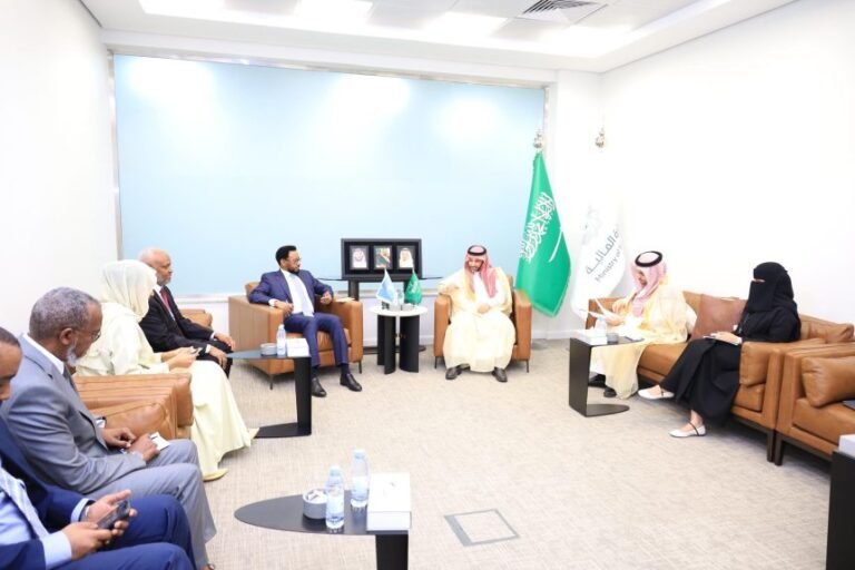 Finance Minister Holds Fruitful Talks with Saudi Deputy Finance Minister on Economic Cooperation