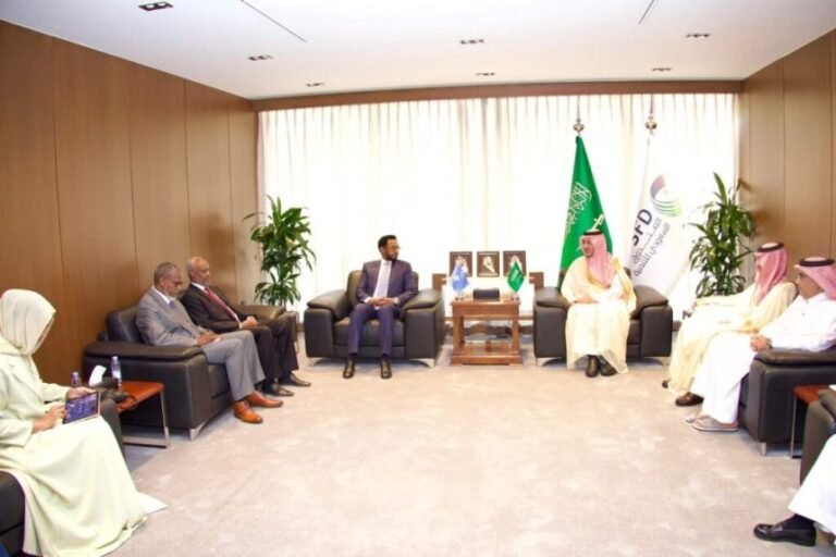 Finance Minister Meets Saudi Fund for Development CEO to Discuss Investment Opportunities