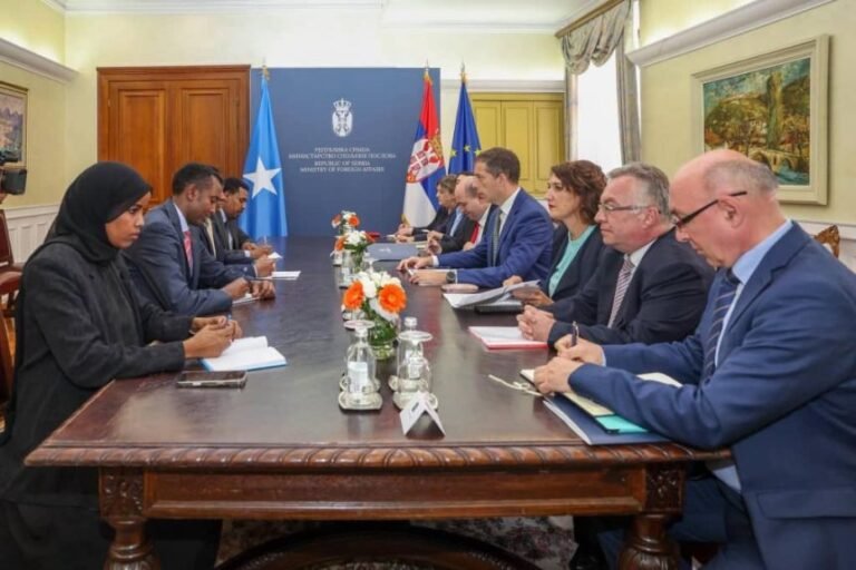 Foreign Affairs Minister holds talks with his Serbian counterpart