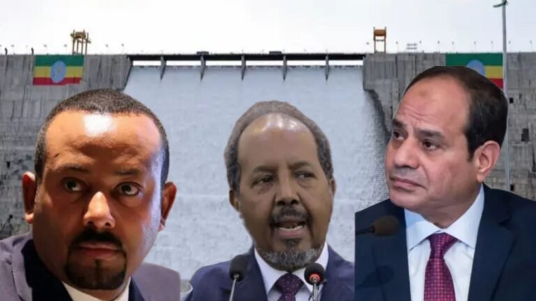 Saddex Qodob oo Ka Soo Baxay Ka-Qaybgalka Madaxweyne Xasan ee Furitaanka Biyo-xireenka Itoobiya.